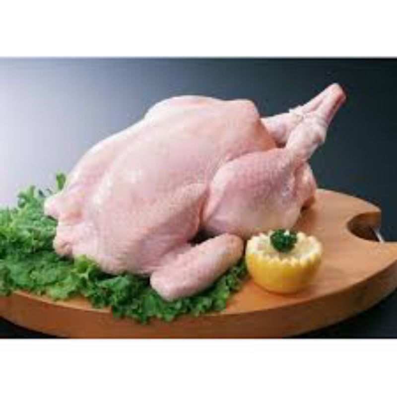 

Ayam Merah Utuh bersih 1 ekor