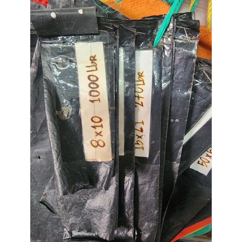 Polybag semai/ polybag bibit cabai ukuran 8x10