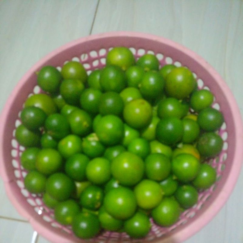 

jeruksonkit1kg/lemoncui/jerukkasturiasam
