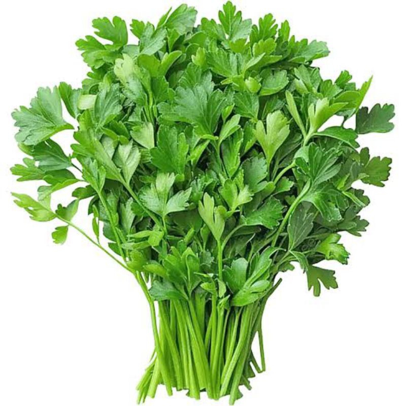 

Coriander - Daun Ketumbar 100 gram