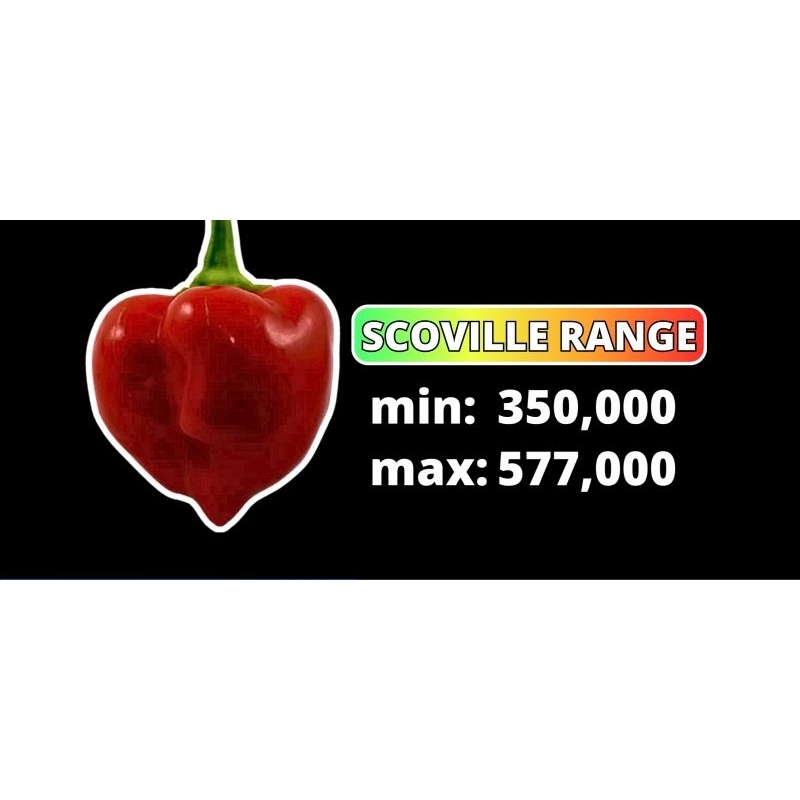 bibit cabe habanero