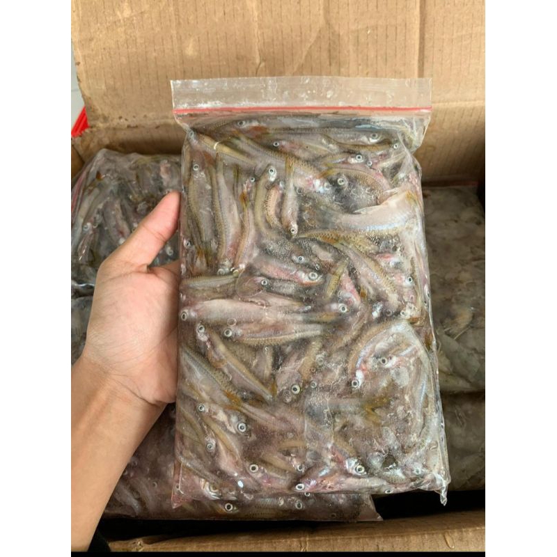 

IKAN SELUANG FRES KEMASAN 500GRAM