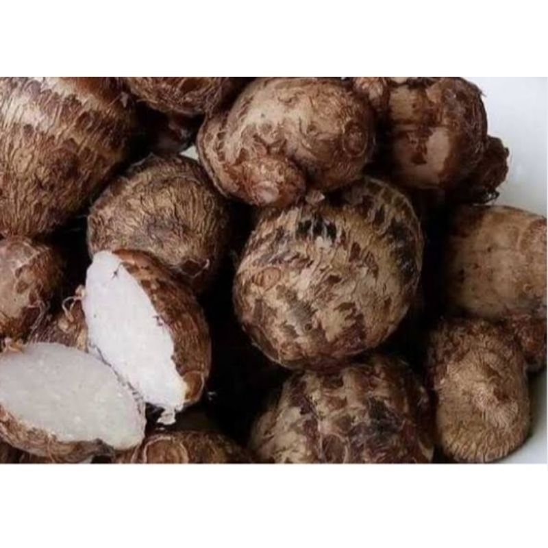 

Umbi talas pulen segar 1 kg fresh