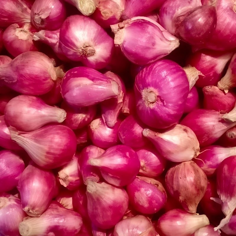 

Bawang merah fresh 500 gram | bawah fresh
