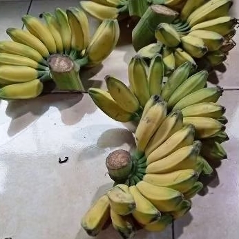

pisang kepok 1 sisir