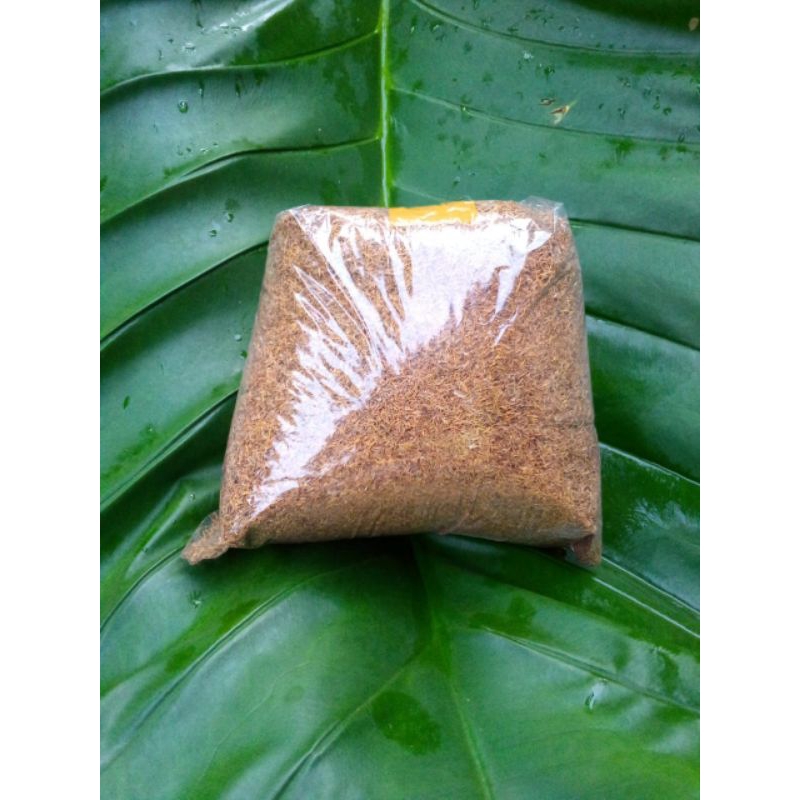

daun talas beneng bagus, segar, berkualitas 100 gr