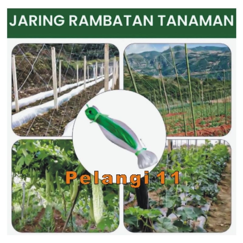 Jaring Rambatan Tanaman , Tali Rambat , Tali Lanjaran , Jaring Tanaman