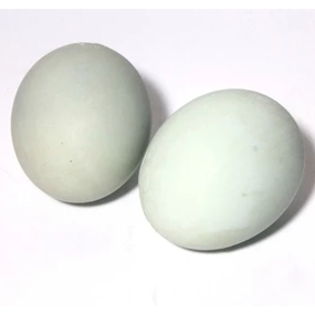 

Telur Asin Pack isi 6 Butir