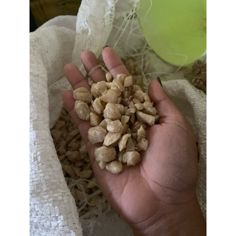 

Kemiri NTT Pecah Sedang/Kasar