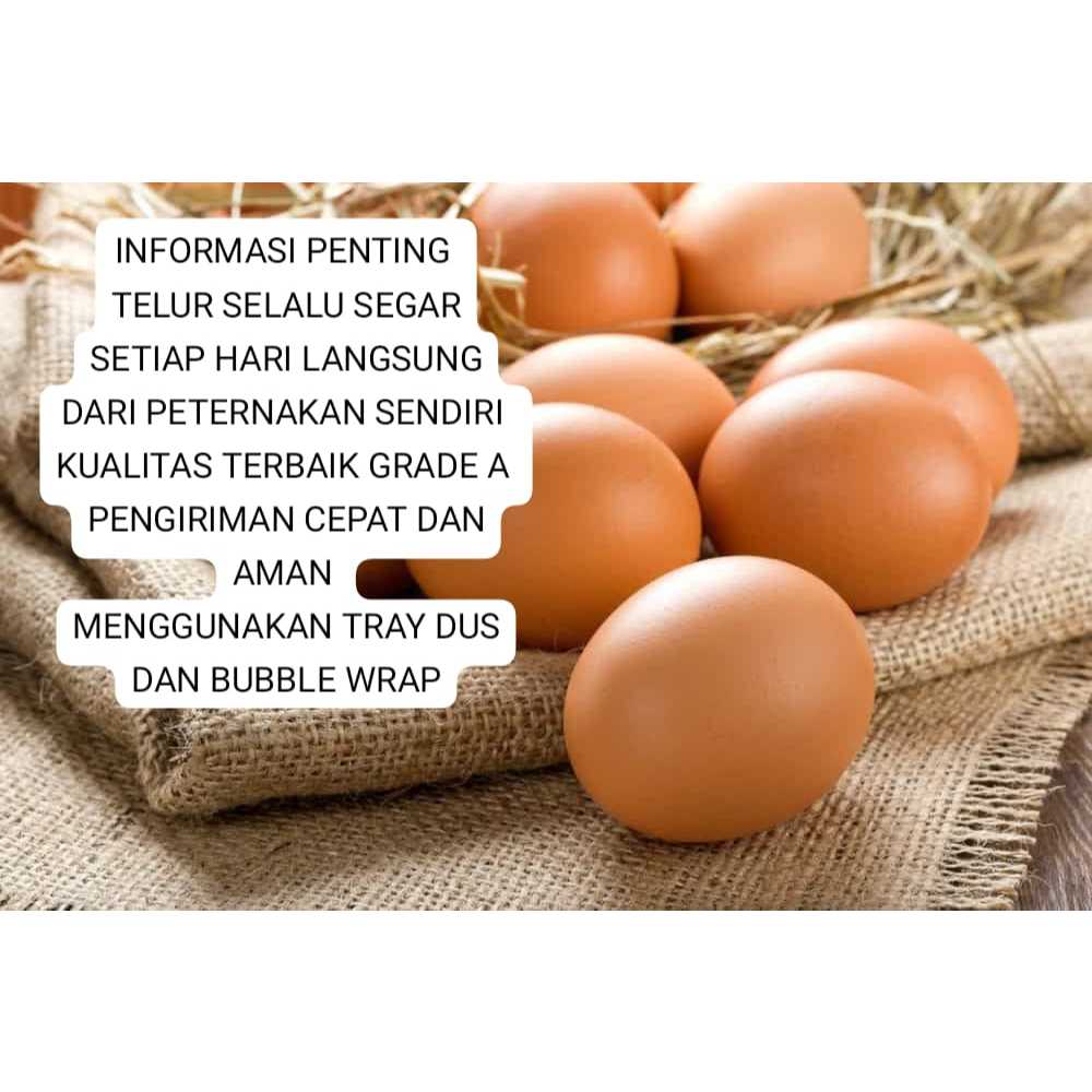 1 pcs Telur Ayam Negeri PREMIUM GRADE A telor ayam negri lokal Fresh dari peternakan Bersih Kualitas