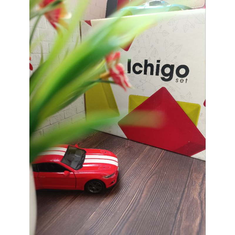 Tupperware Ichigo red and green wadah makanan