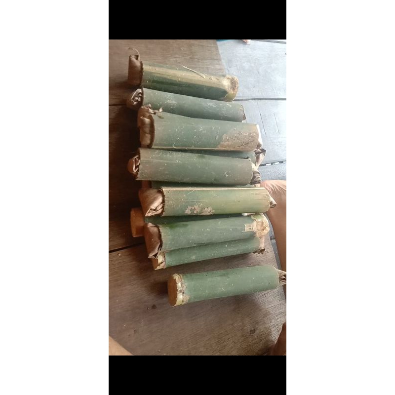 Ulat bumbung ( ulat bambu ) isi 30 pertabung