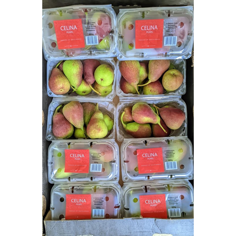

Pear Celina per pack
