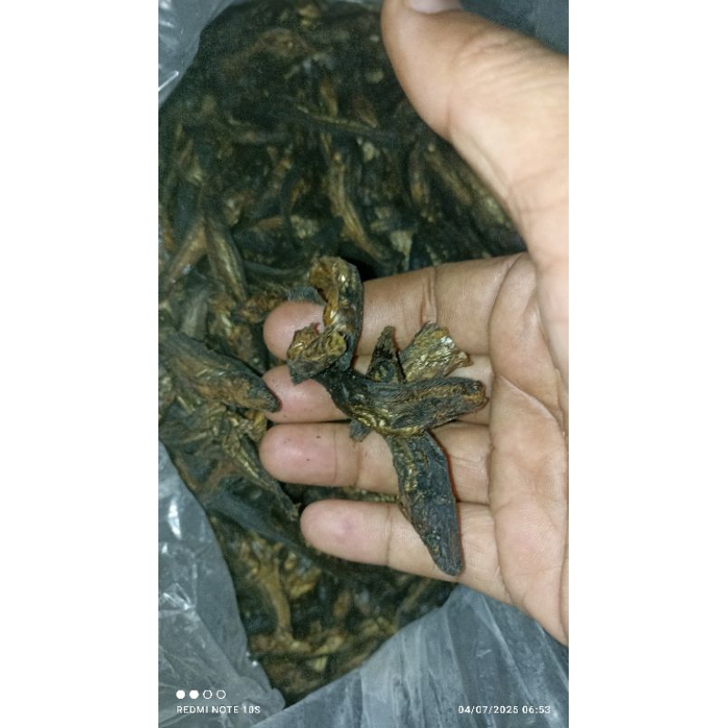 

ikan asap Salai semilang