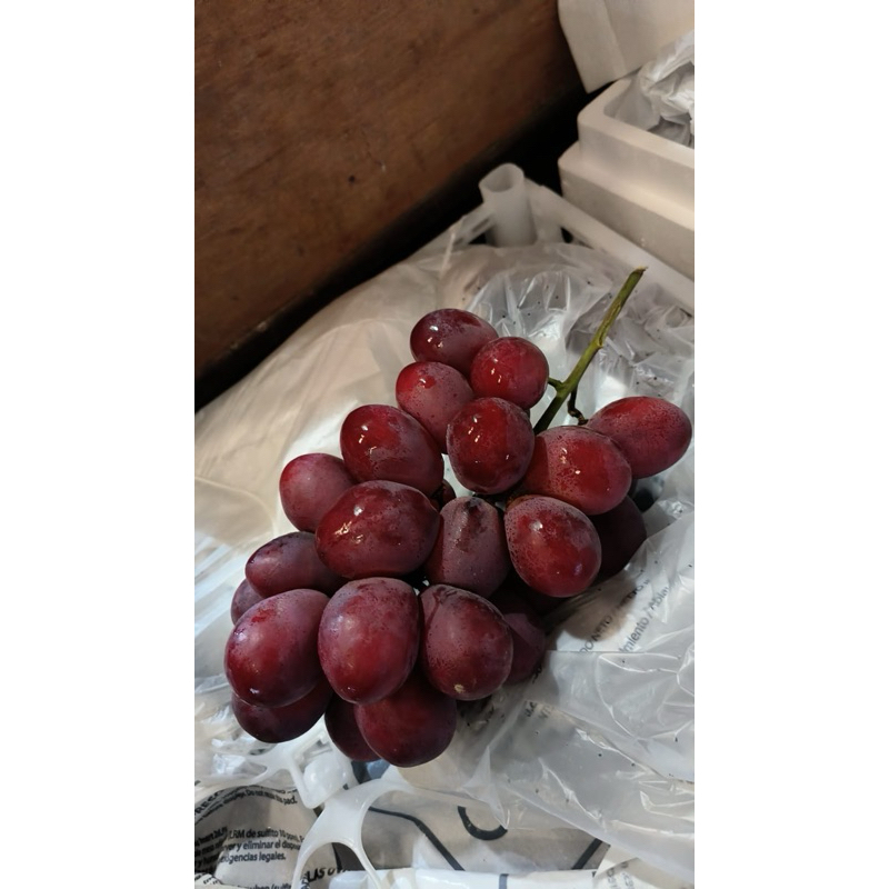 

Grape Merah Peru 1 kg mlenos2