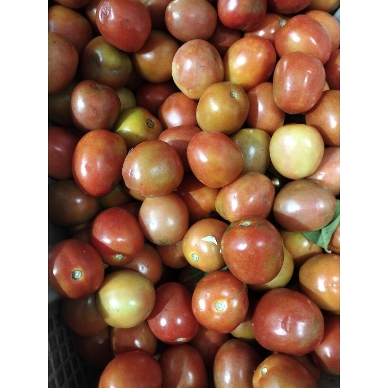 

Tomat Besar Kering Bagus 500gr