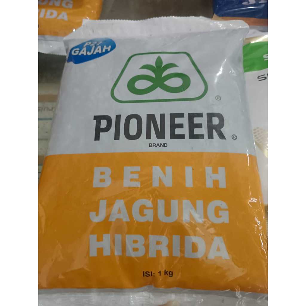 Benih Jagung Hibrida PIONEER P27 GAJAH - 1KG
