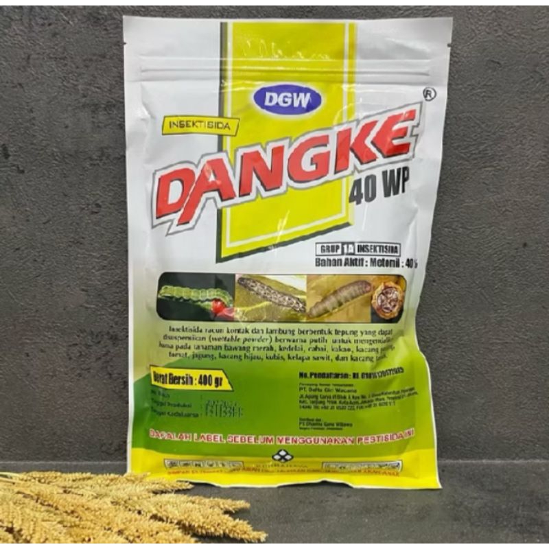 Dangke 40wp 400gram