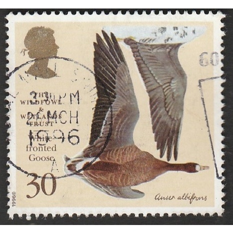 

A 11104 SATU BUAH PRANGKO INGGRIS NOMINAL 30 PENCE TEMA SATWA BURUNG DENGAN KONDISI SUDAH ADA CAP