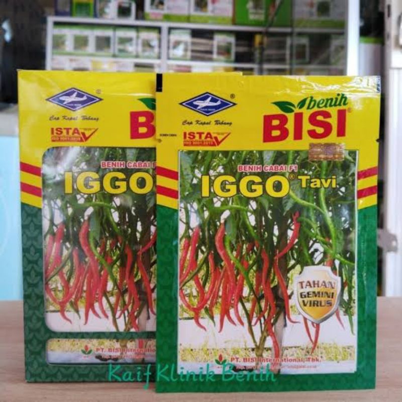 Benih cabe iggo tavi f1 10 gram