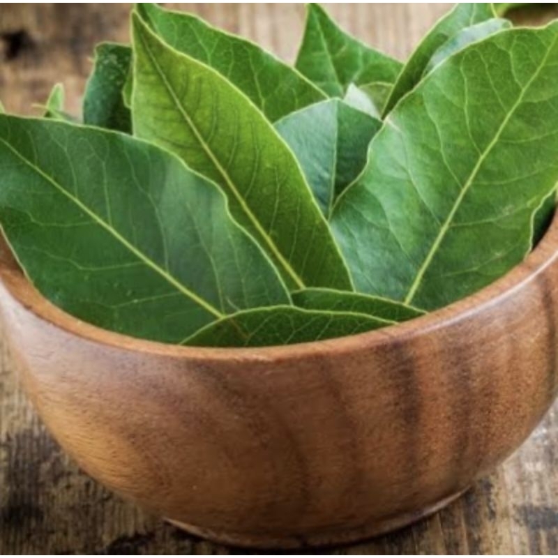 

Daun Salam Segar / Bumbu Masakan 500 gram