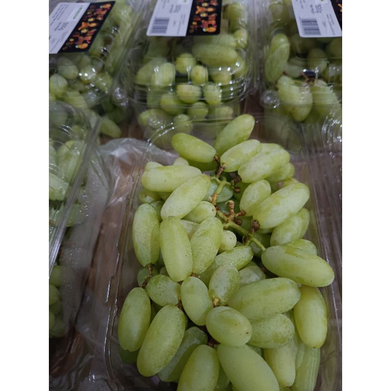 

Anggur Jari Hijau pack/500 gr