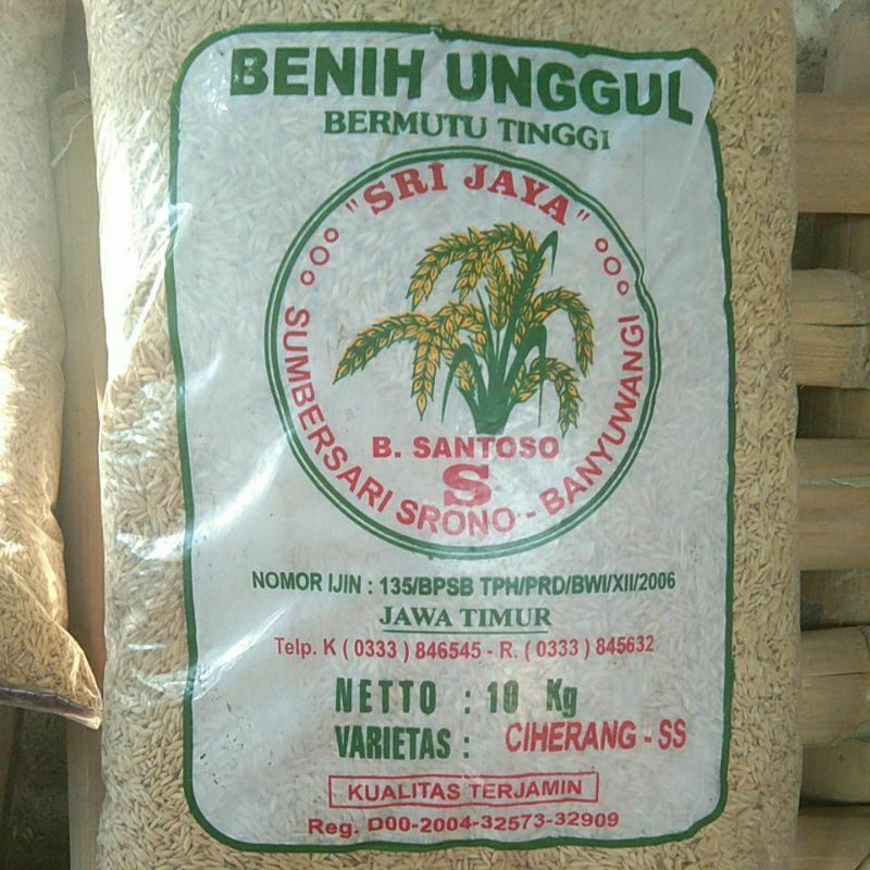 VARIETAS CIHERANG SS SANTOSO 10KG, BIBIT PADI expt oktober 2025
