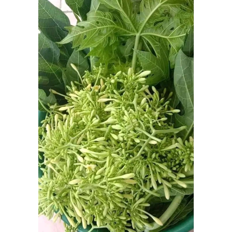 

kembang kates lampung 500gram