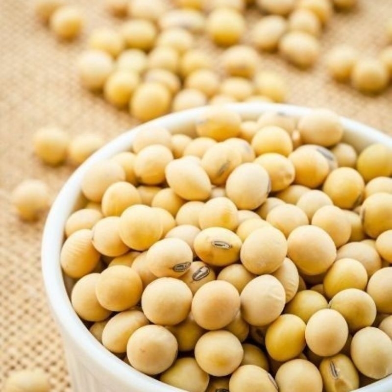 

Kacang Kedelai super 500 gram