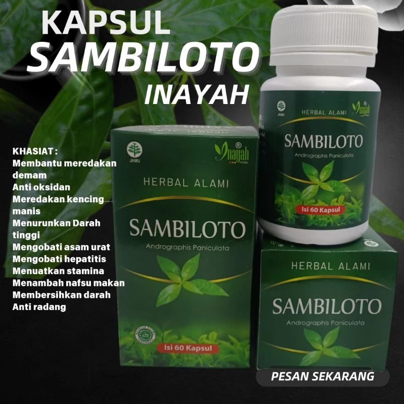 

SAMBILOTO KAPSUL EKSTRAK DAUN SAMBILOTO HERBAL ALAMI