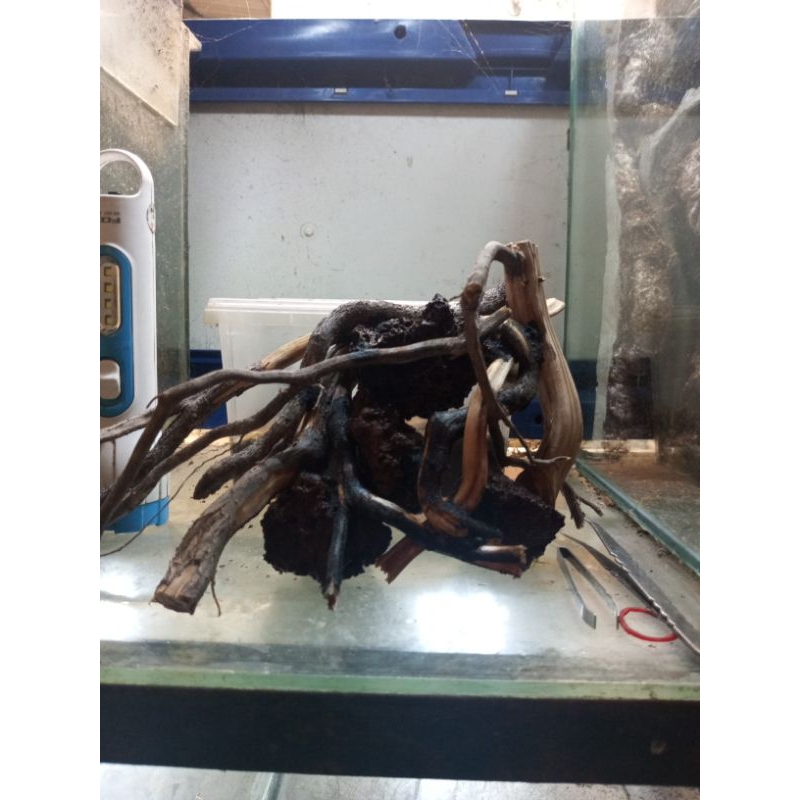 HARDSCAPE NATURAL UNTUK AKUARIUM 40CM SAMPAI 60CM