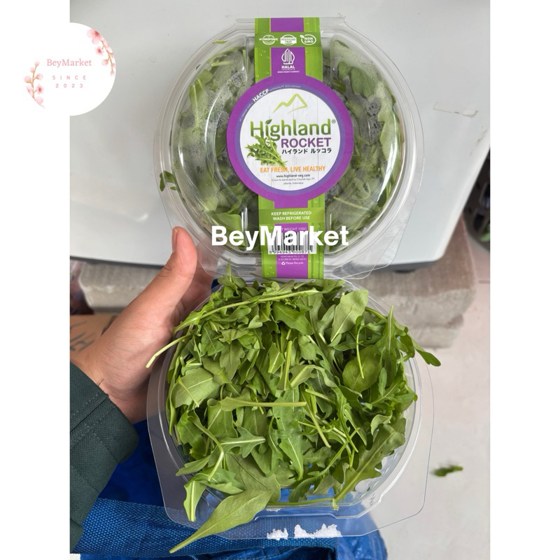 

Sayur Highland Rocket | Aragula Fresh 100g | Pack