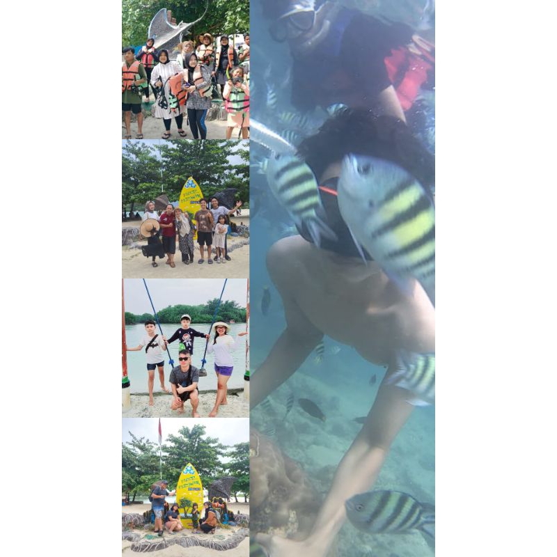 Paket Wisata Pulau Seribu Jakarta (Open Trip Pulau Pari 2D1N)