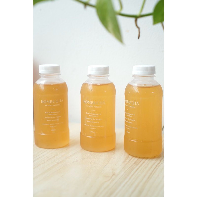 

Paket 3 botol Kombucha Homemade fresh Segar