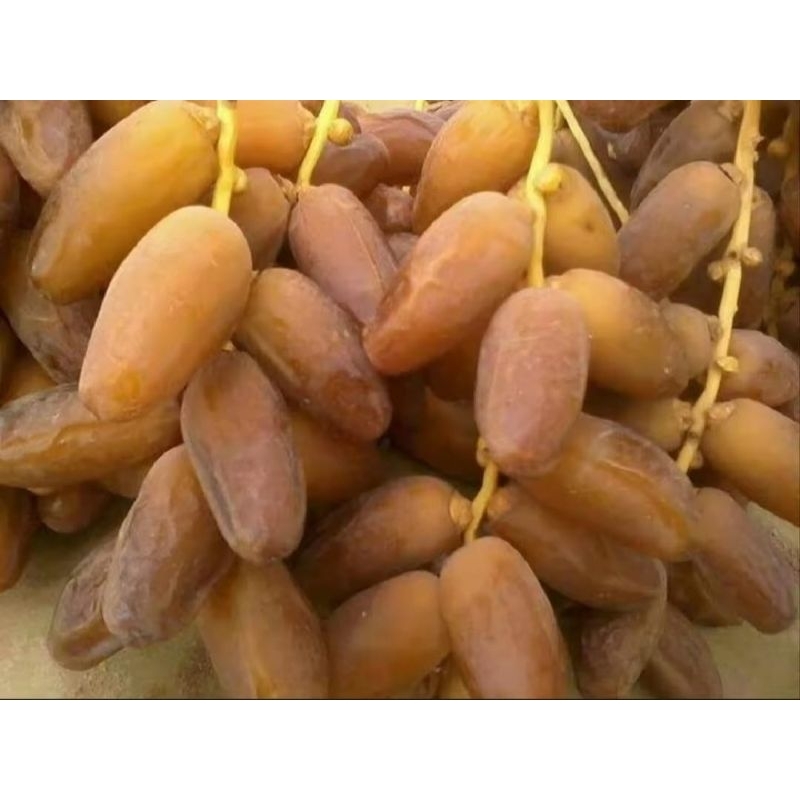 

Cod...kurma tunisia tangkai 1kg banyak manfaat nya