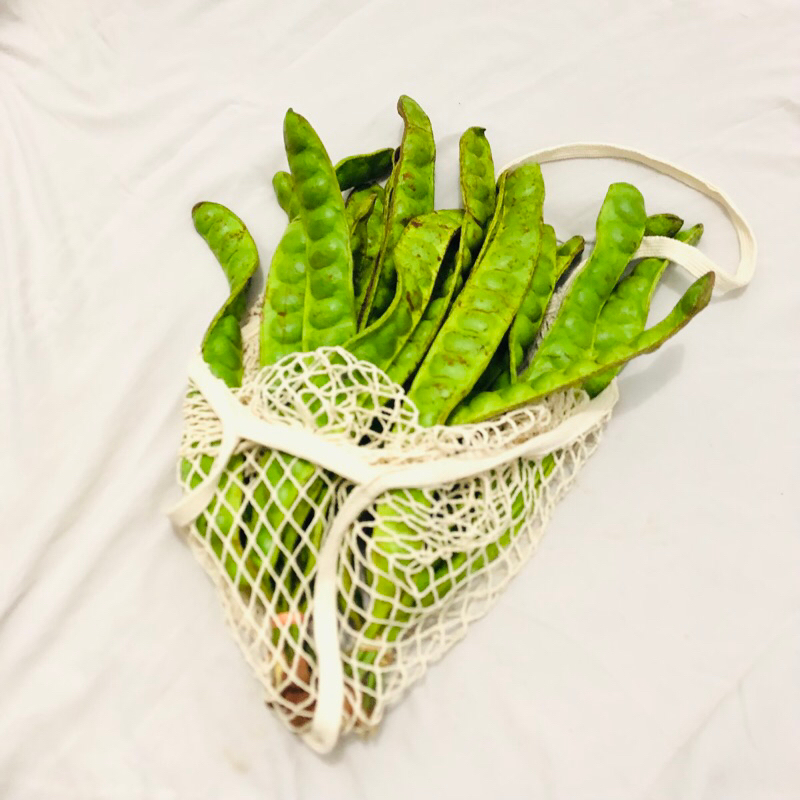 

[5 PAPAN] Petai Pete SEDANG/TANGGUNG 5 PAPAN/1 Ikat