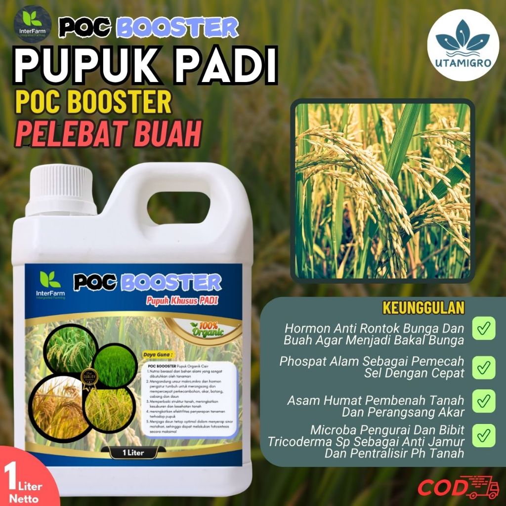 Pupuk Organik Cair Pelebat Penyubur PADI /Booster PADI /Pupuk Rabuk PADI 1 Liter Pupuk Booster Padi