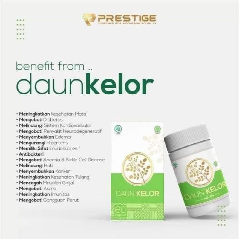 

Daun Kelor prestige