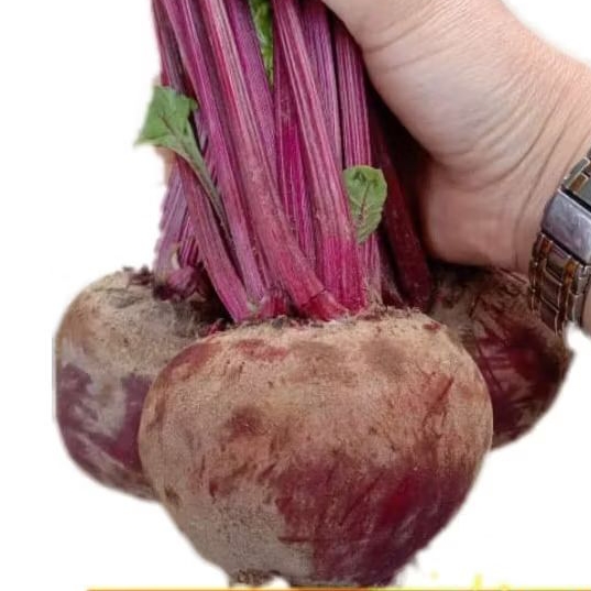 

BEETROOT MURAH KWALITAS SUPER FRESH 1 KG BUAH BIT SEGAR