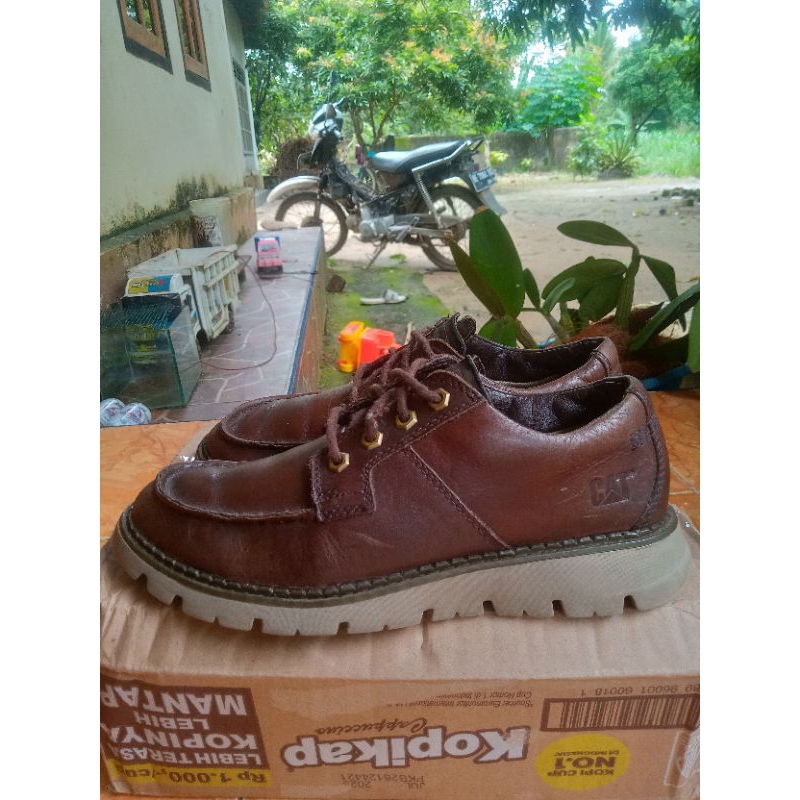 Caterpillar moctoe Low