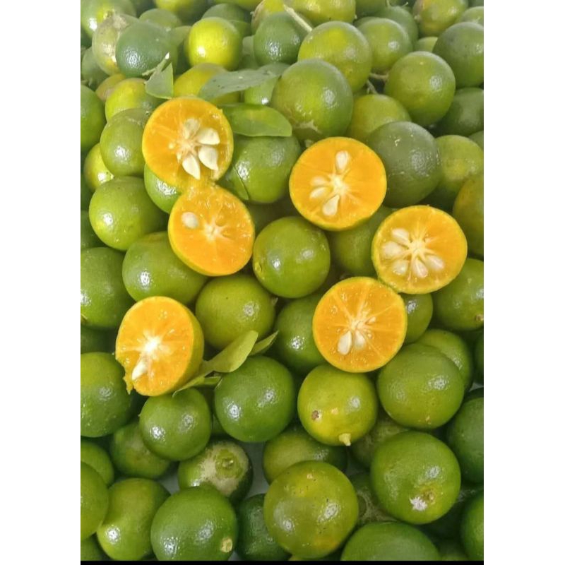 

2kg jeruk songkit kasturi pres dan segar