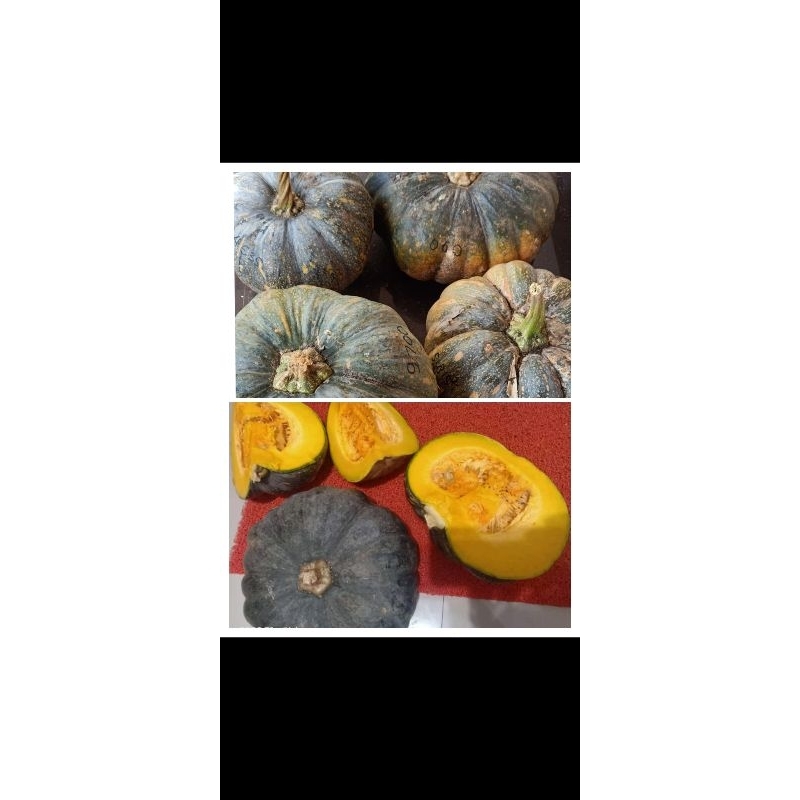 

Labu Kuning Pulen 500 gr / 1 Kg