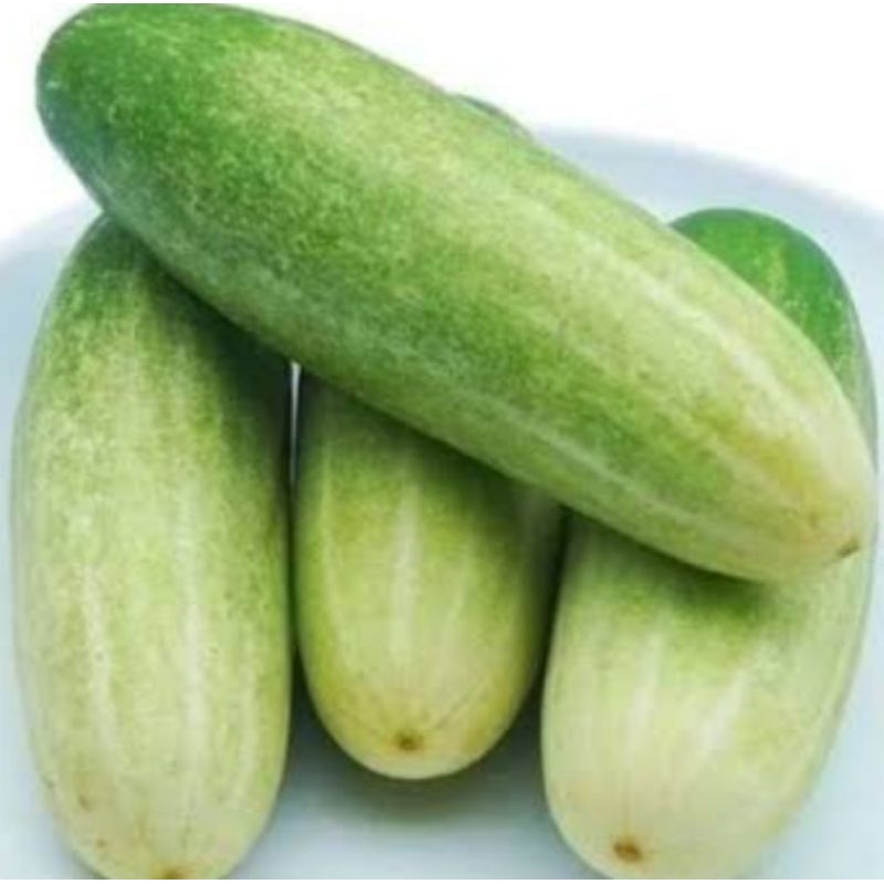 

timun acar kecil segar bagus fress 1kg