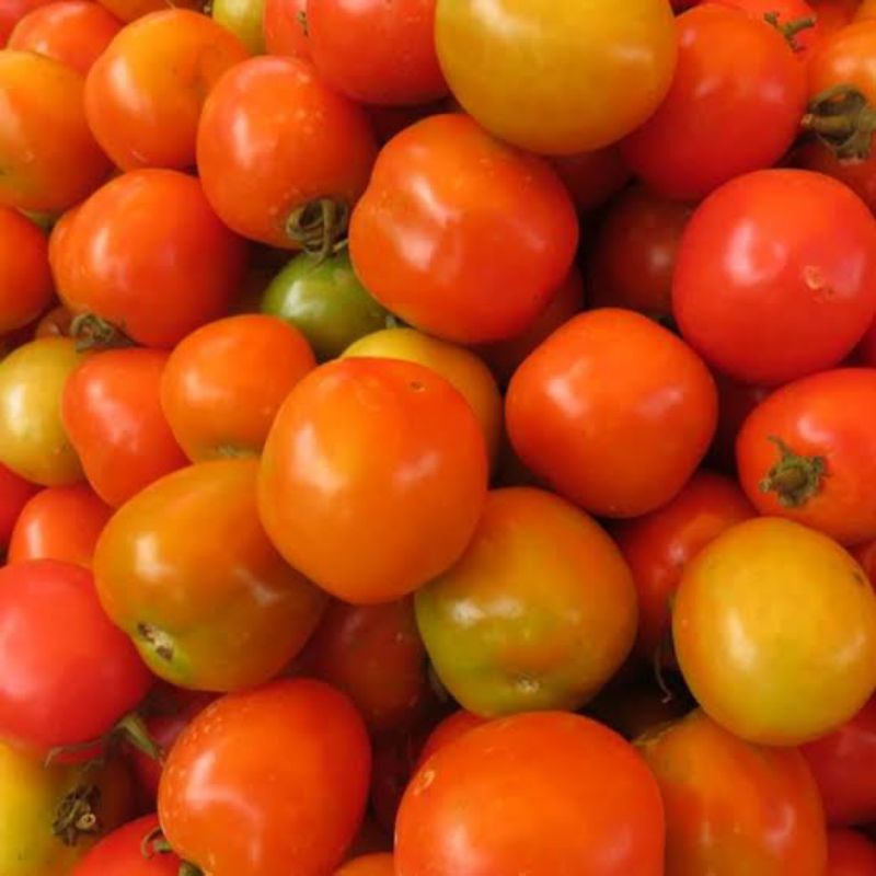 

Buah Tomat Fresh 500 gram.