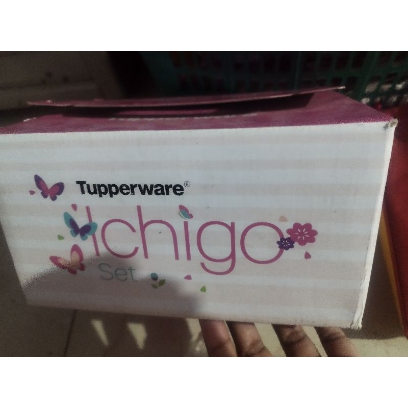 Tupperware original ichigo