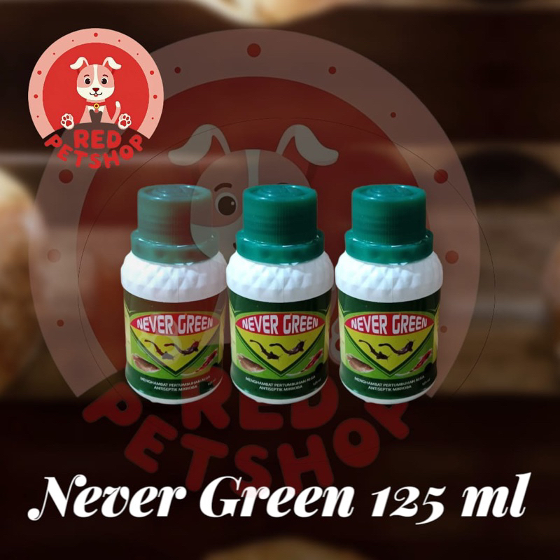 Never Green 125 Ml anti lumut kolam ikan