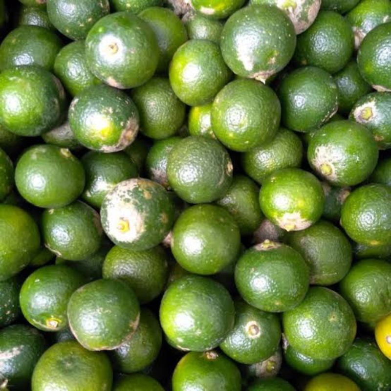 

Jeruk Kunci/Sonkit 1 Kg