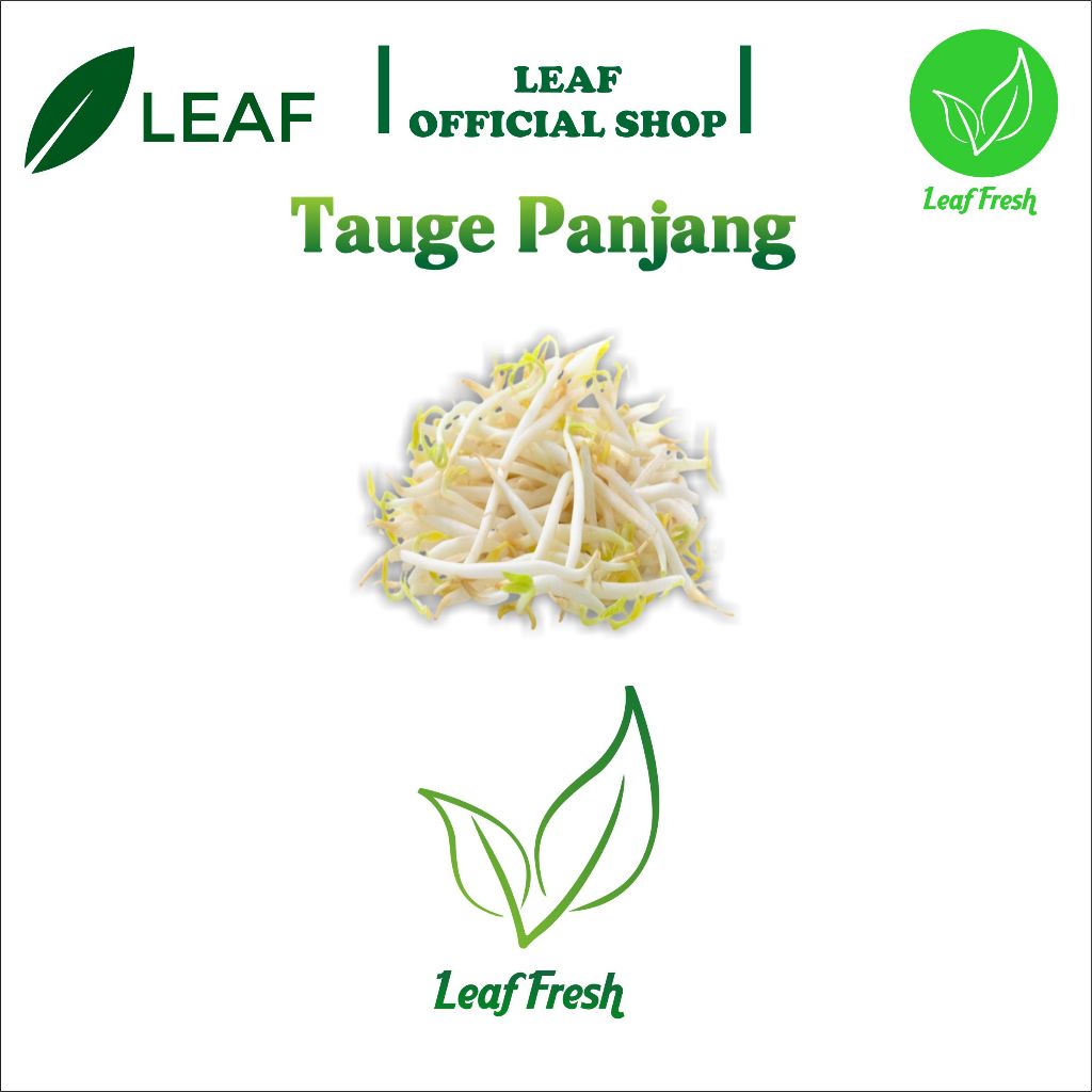 

TAUGE PANJANG BY LEAF FRESH