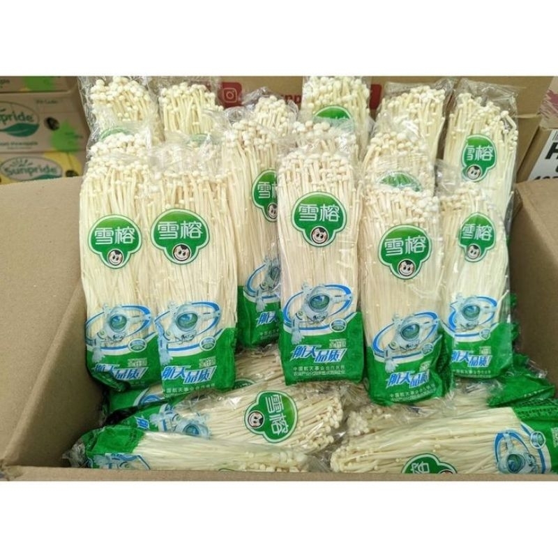 

Jamur Enoki 1 Dus | Enoki Mushroom | Enoki Jamur 1 Dus isi 50 pcs | Enoki