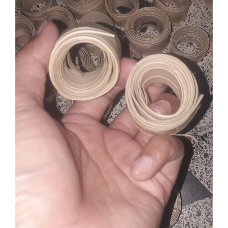 Bijian kepikan dan lontar